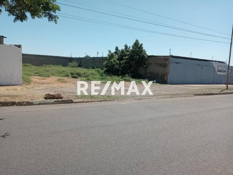 Terreno en venta, Avenida Jacinto Lara, Punto Fijo, Estado Falcon