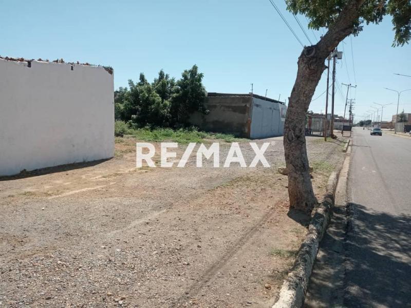Terreno en venta, Avenida Jacinto Lara, Punto Fijo, Estado Falcon