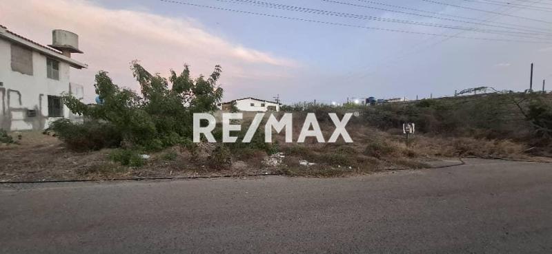 En Venta Terreno y Parcela Calle Santa Emilia, Guaranao, Punto Fijo, Carirubana, Falcón, 4102, VEN