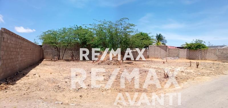 En Venta Terreno y Parcela Guanadito, Falcón, 4148, VEN