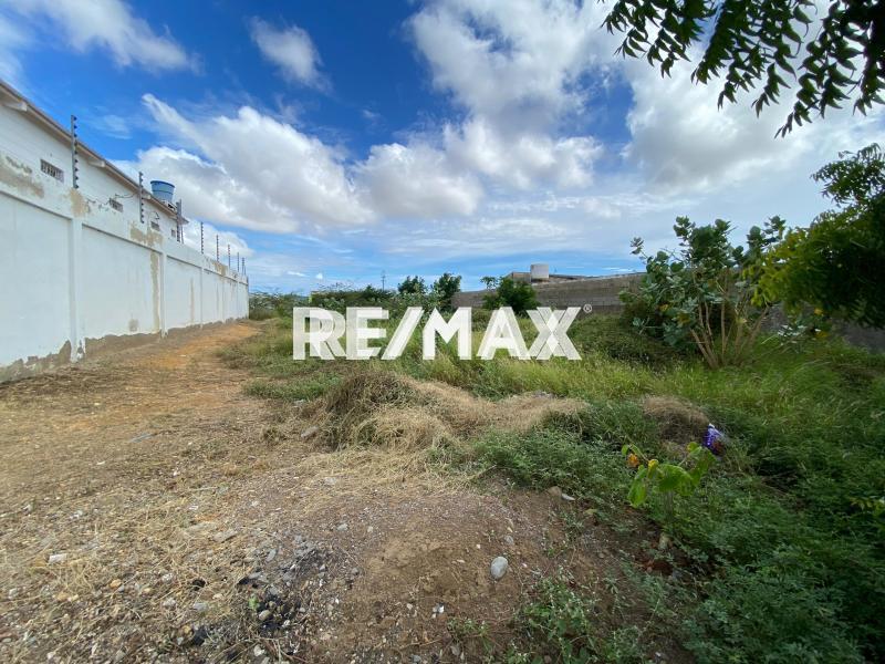 En Venta Terreno y Parcela Calle Sucre, Carirubana, Punto Fijo, Carirubana, Falcón, 4102, VEN