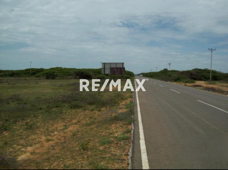 En Venta Terreno y Parcela Buchuaco, Falcón, 4142, VEN