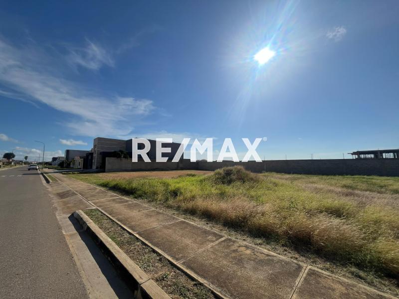 En Venta Terreno y Parcela Punta Cardón. Av. Doña Emilia.