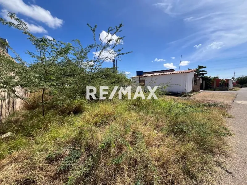 En Venta Terreno y Parcela SECTOR SANTA ELENA MUNICIPIO CARIRUBANA