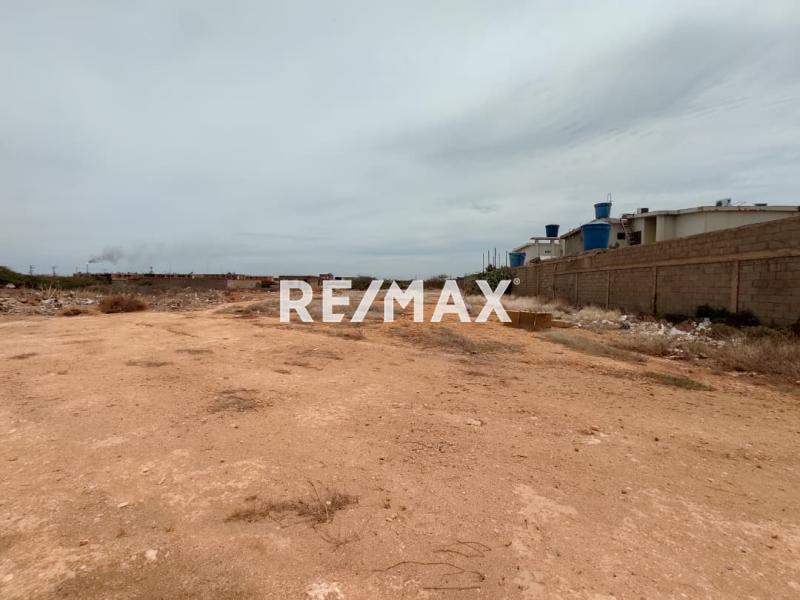 En Venta Terreno y Parcela SECTOR SANTA ELENA MUNICIPIO CARIRUBANA