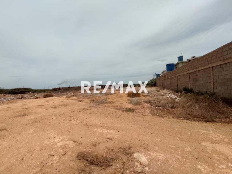 En Venta Terreno y Parcela SECTOR SANTA ELENA MUNICIPIO CARIRUBANA