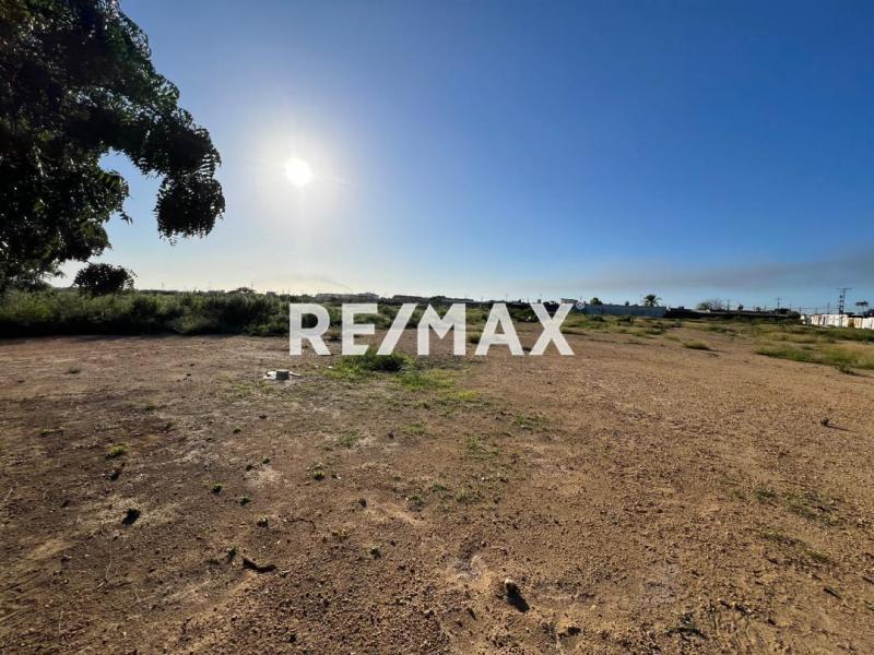 En Venta Terreno y Parcela Calle dabajuro, Punto Fijo, Carirubana, Punta Cardón, Falcón, VEN