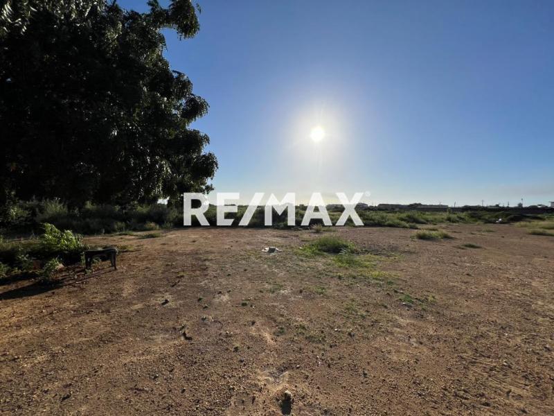 En Venta Terreno y Parcela Calle Tamare, Punto Fijo, Carirubana, Punta Cardón, Falcón, VEN - Foto 2