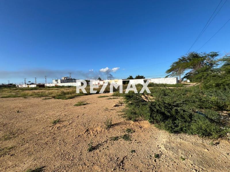 En Venta Terreno y Parcela Calle Tamare, Punto Fijo, Carirubana, Punta Cardón, Falcón, VEN - Foto 3