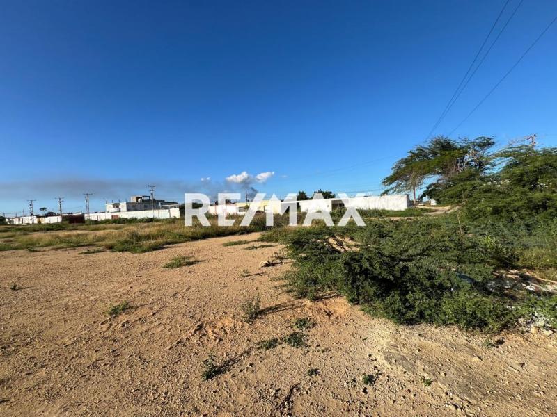 En Venta Terreno y Parcela Calle Tamare, Punto Fijo, Carirubana, Punta Cardón, Falcón, VEN - Foto 4
