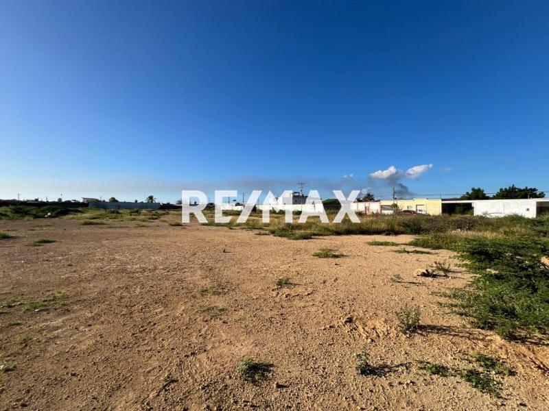 En Venta Terreno y Parcela Calle Tamare, Punto Fijo, Carirubana, Punta Cardón, Falcón, VEN - Foto 5