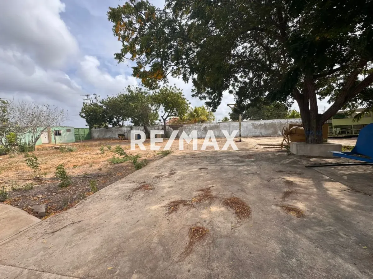 En Venta Negocio La Rinconada, Falcón, VEN - Foto 3