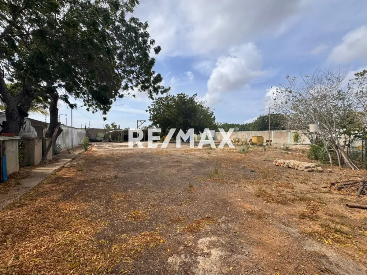 En Venta Negocio La Rinconada, Falcón, VEN - Foto 4