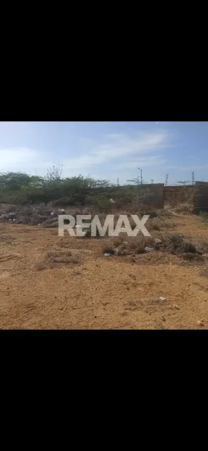 En Venta Terreno y Parcela Guanadito sur calle la paz - Foto 2