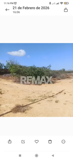 En Venta Terreno y Parcela Guanadito sur calle la paz - Foto 3