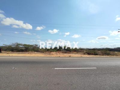 En Venta Terreno y Parcela Jayana, Municipio Los Taques - Foto 4