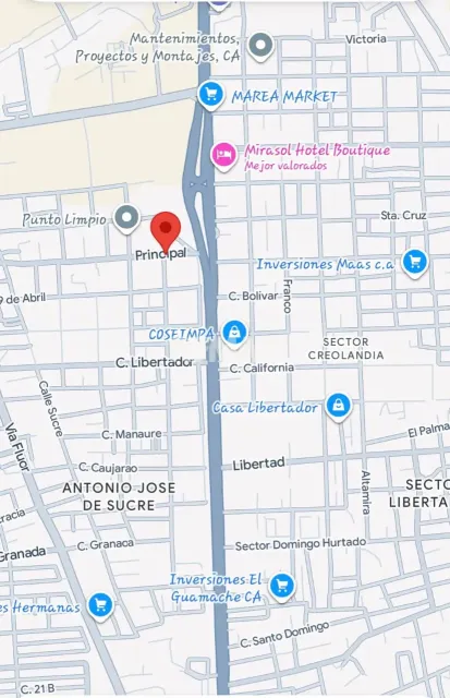 En Venta Terreno y Parcela Av. Intercomunal Via Fluor - Foto 2