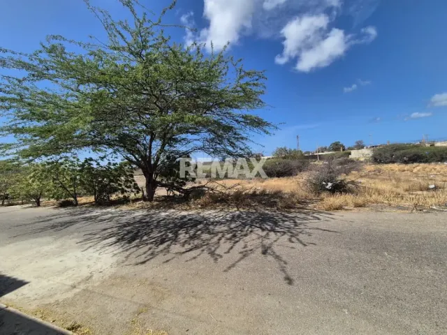 En Venta Terreno y Parcela Urbanizacion pedro Manuel Arcaya - Foto 3