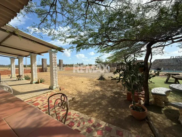 En Venta Hacienda y Finca Municipio Falcon, Jadacaquiva, Sector Las Cejas San Miguel - Foto 3