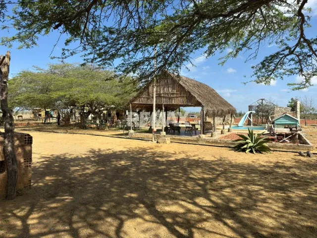 En Venta Hacienda y Finca Municipio Falcon, Jadacaquiva, Sector Las Cejas San Miguel - Foto 15