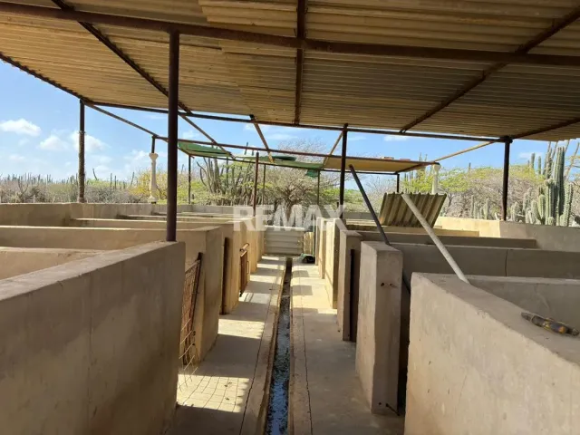 En Venta Hacienda y Finca Municipio Falcon, Jadacaquiva, Sector Las Cejas San Miguel - Foto 16