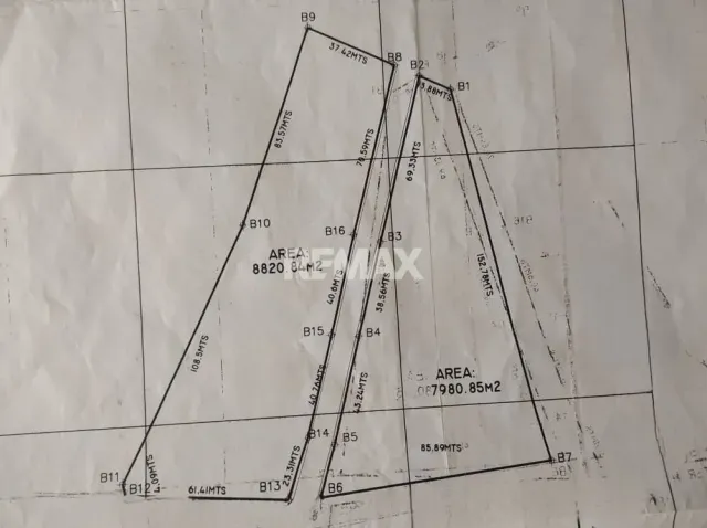 En Venta Terreno y Parcela El Taparo, Sector La Guadalupe - Foto 2