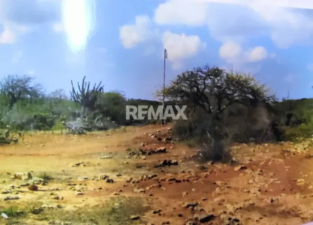 En Venta Terreno y Parcela Sector La Guadalupe, El Taparo - Foto 1