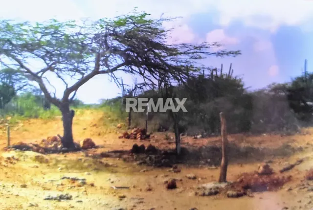 En Venta Terreno y Parcela Sector La Guadalupe, El Taparo - Foto 2