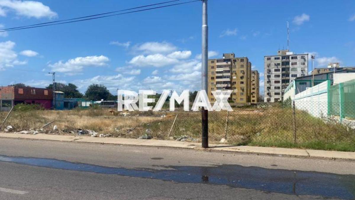 En Venta Terreno y Parcela Avenida Ramón Ruíz Polanco, Carirubana, Falcón, 4102, VEN - Foto 5