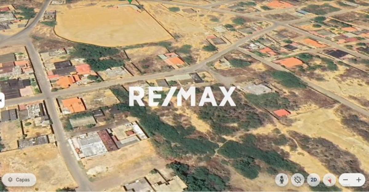 En Venta Terreno y Parcela Avenida Hipolito Ocando, Guanadito, Los Taques, Falcón, 4102, VEN - Foto 2