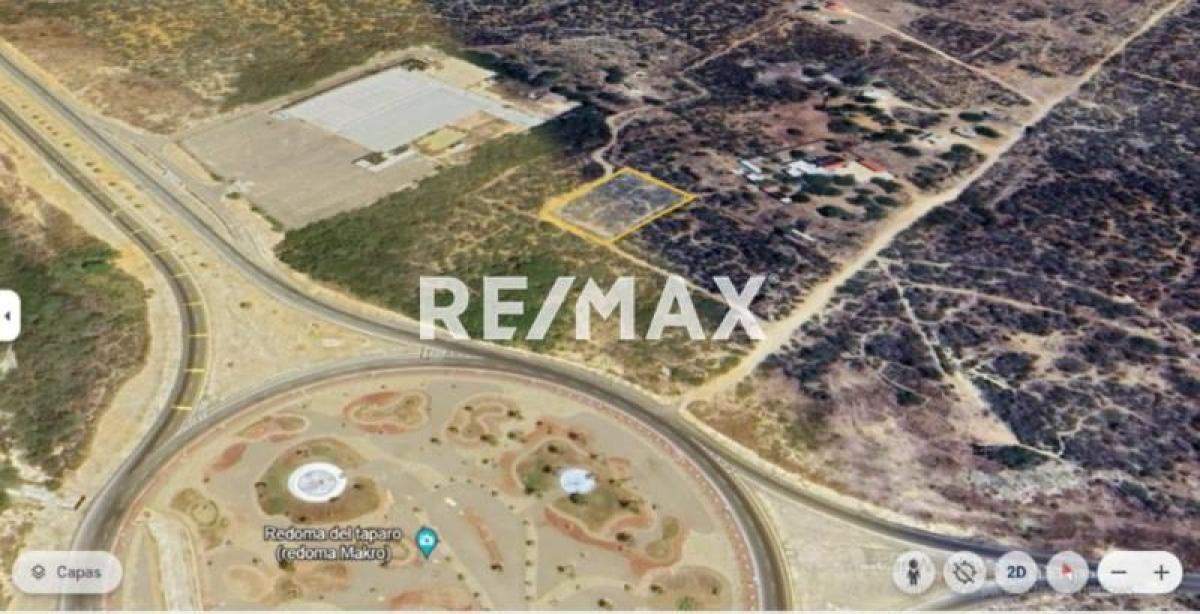 En Venta Terreno y Parcela Zona Rural El Taparo, Municipio Los Taques del Estado Falcón - Foto 1
