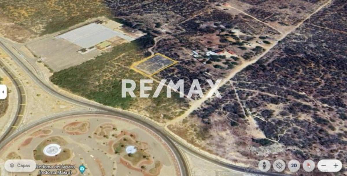 En Venta Terreno y Parcela Zona Rural El Taparo, Municipio Los Taques del Estado Falcón - Foto 3