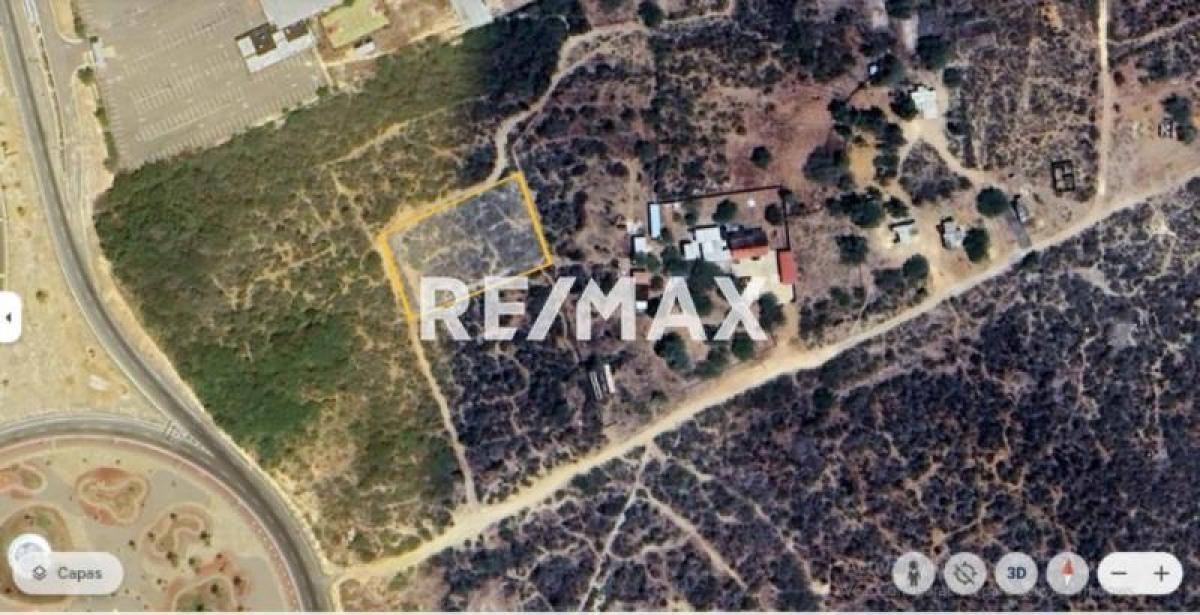 En Venta Terreno y Parcela Zona Rural El Taparo, Municipio Los Taques del Estado Falcón - Foto 4