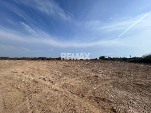 Amplio terreno de 10,000 m² en venta para desarrollo en Cardón, Falcón - Foto 1