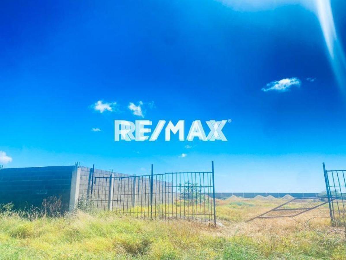 Amplio terreno de 10.000 m² en venta, Calle Ceuta, Puerta Maraven, Falcón - Foto 4