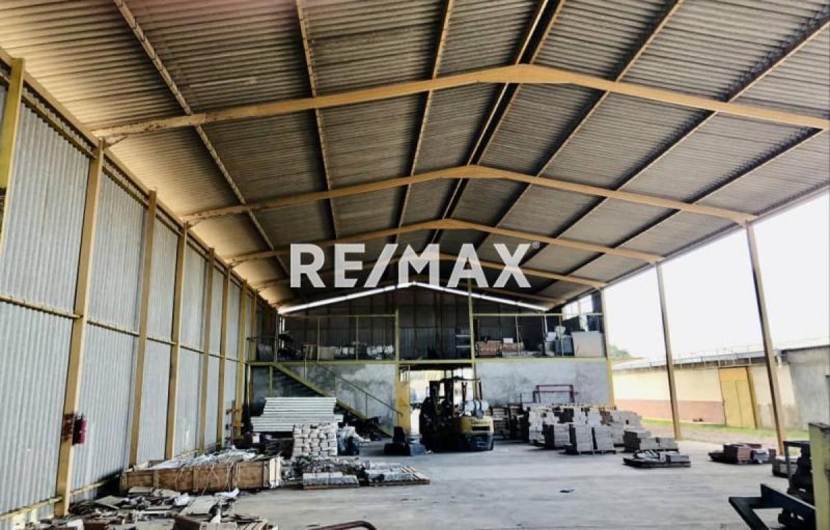 En Venta Local Industrial y Galpón Bela Vista - Foto 3