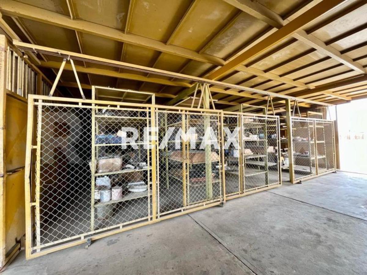 En Venta Local Industrial y Galpón Bela Vista - Foto 4
