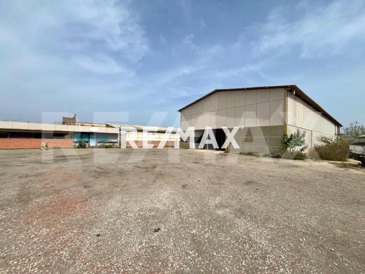 En Venta Local Industrial y Galpón Bela Vista - Foto 6