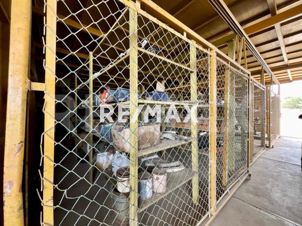 En Venta Local Industrial y Galpón Bela Vista - Foto 8