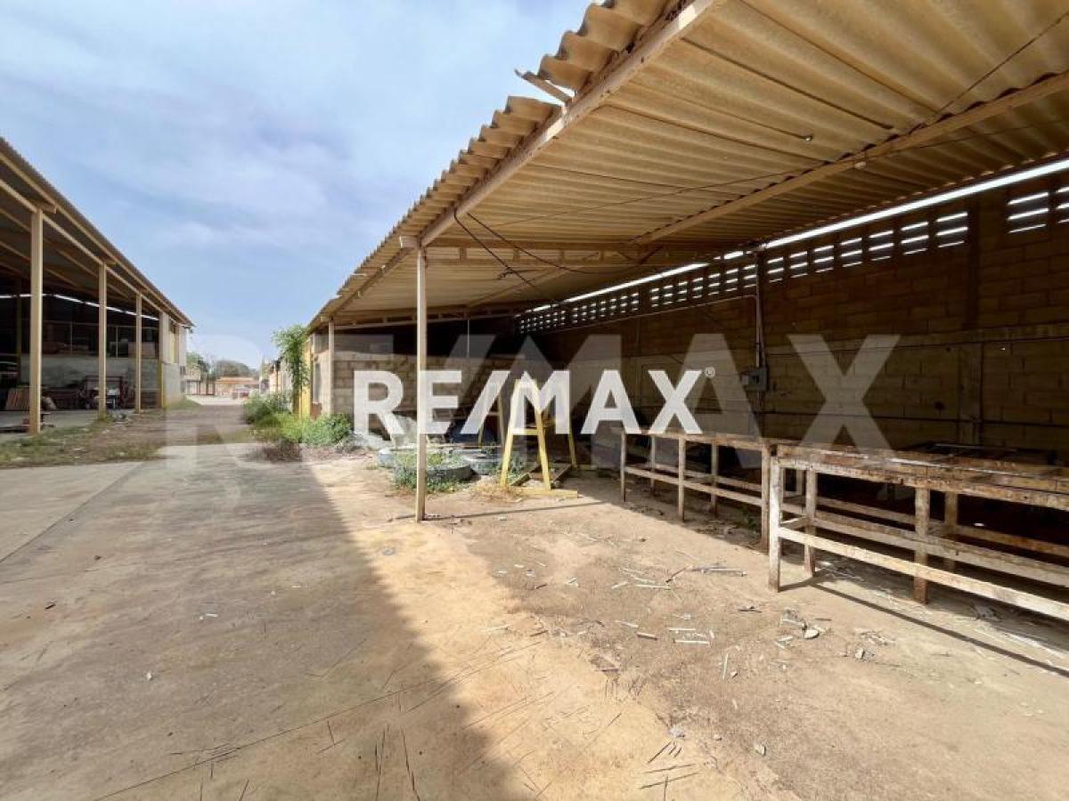 En Venta Local Industrial y Galpón Bela Vista - Foto 9