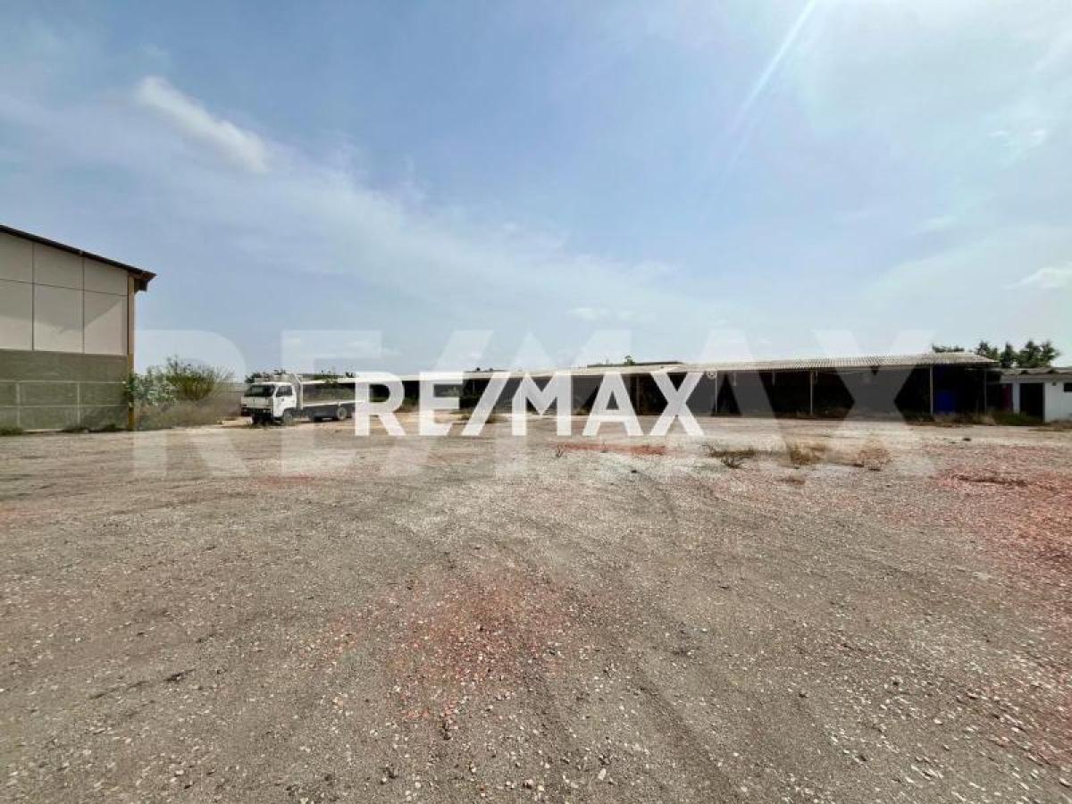 En Venta Local Industrial y Galpón Bela Vista - Foto 10
