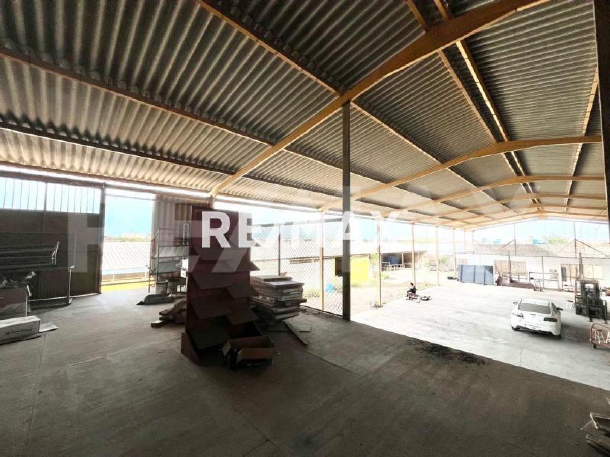 En Venta Local Industrial y Galpón Bela Vista - Foto 16