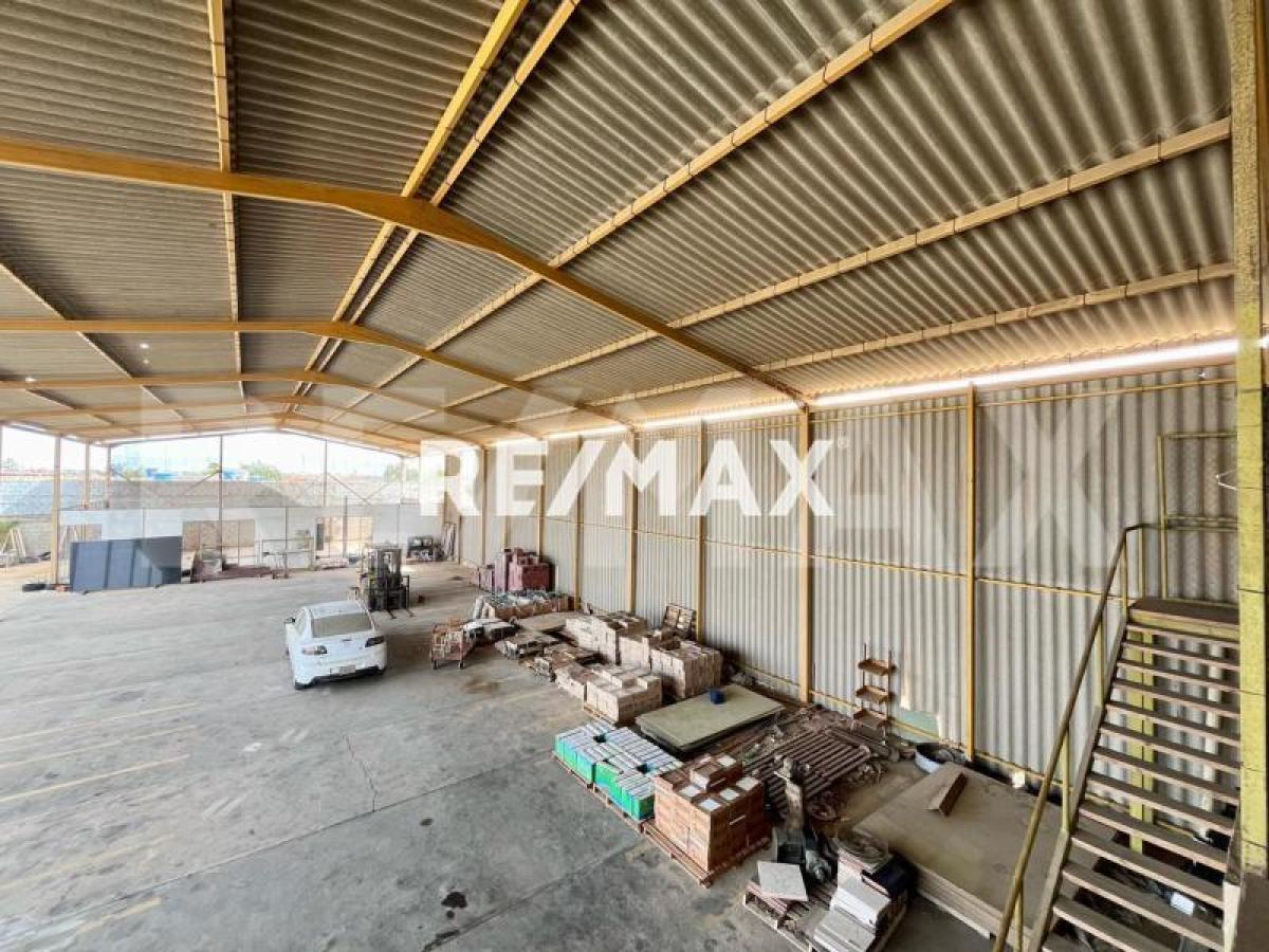 En Venta Local Industrial y Galpón Bela Vista - Foto 17