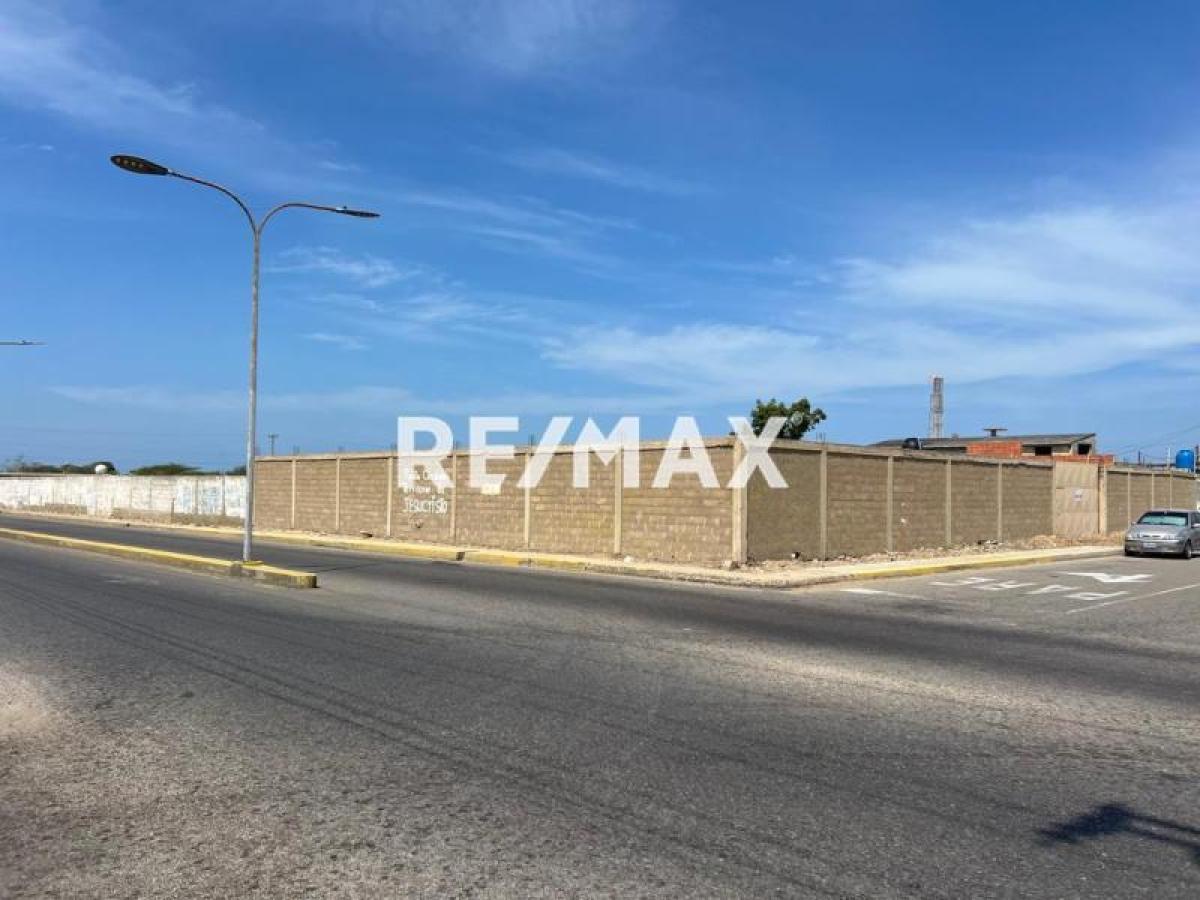 En Venta Terreno y Parcela Punta Cardón, Cardón, Carirubana, Falcón, VEN - Foto 2