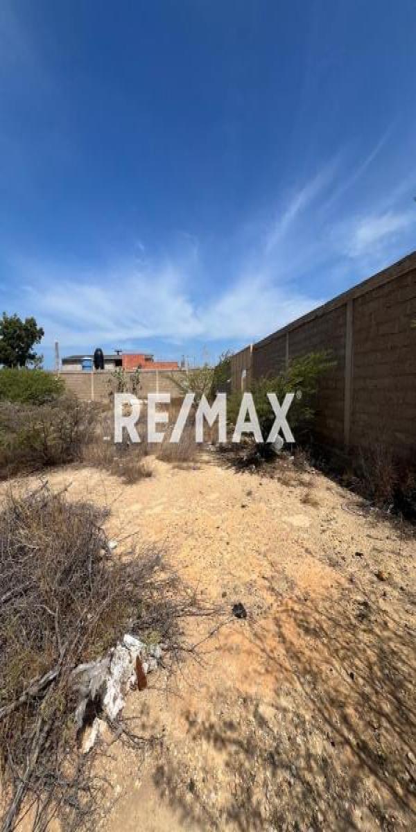 En Venta Terreno y Parcela Punta Cardón, Cardón, Carirubana, Falcón, VEN - Foto 3