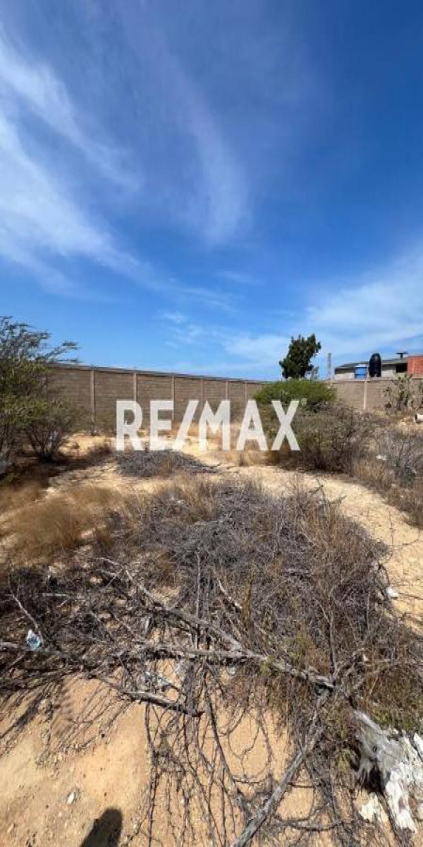 En Venta Terreno y Parcela Punta Cardón, Cardón, Carirubana, Falcón, VEN - Foto 5