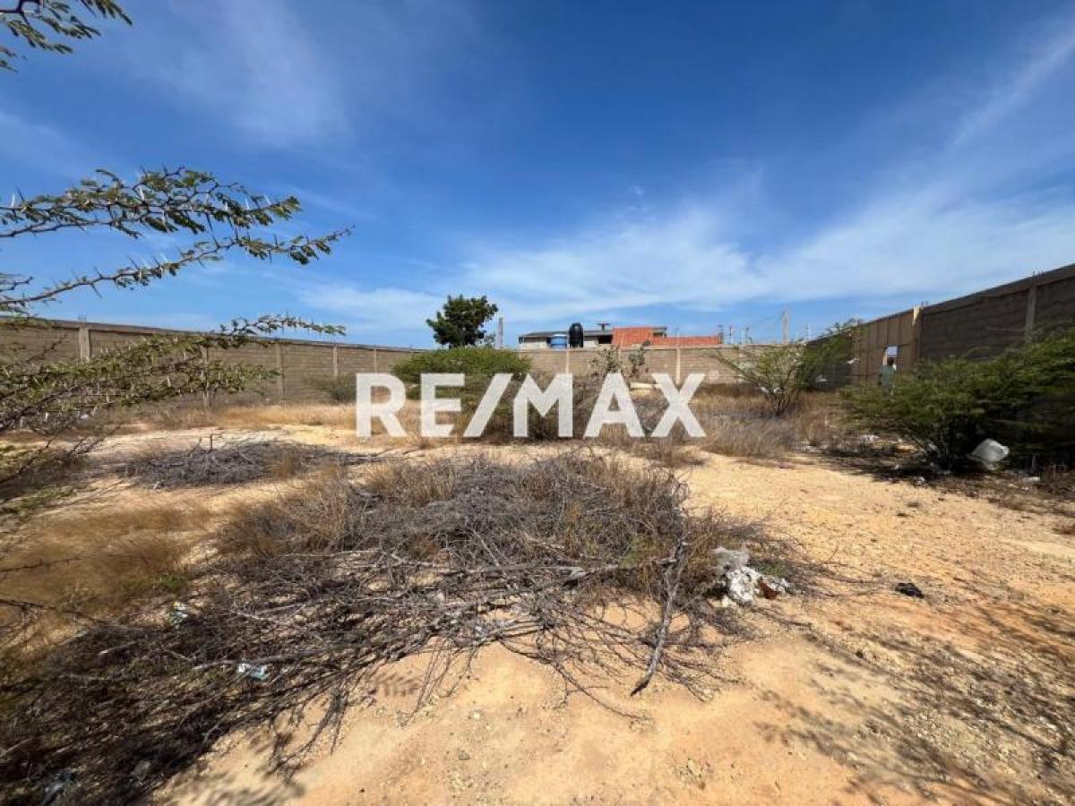 En Venta Terreno y Parcela Punta Cardón, Cardón, Carirubana, Falcón, VEN - Foto 6
