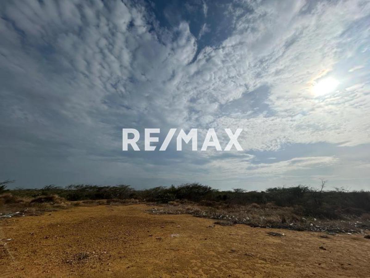 En Venta Terreno y Parcela Guanadito Sur, Los Taques, Falcón, 4147, VEN - Foto 1