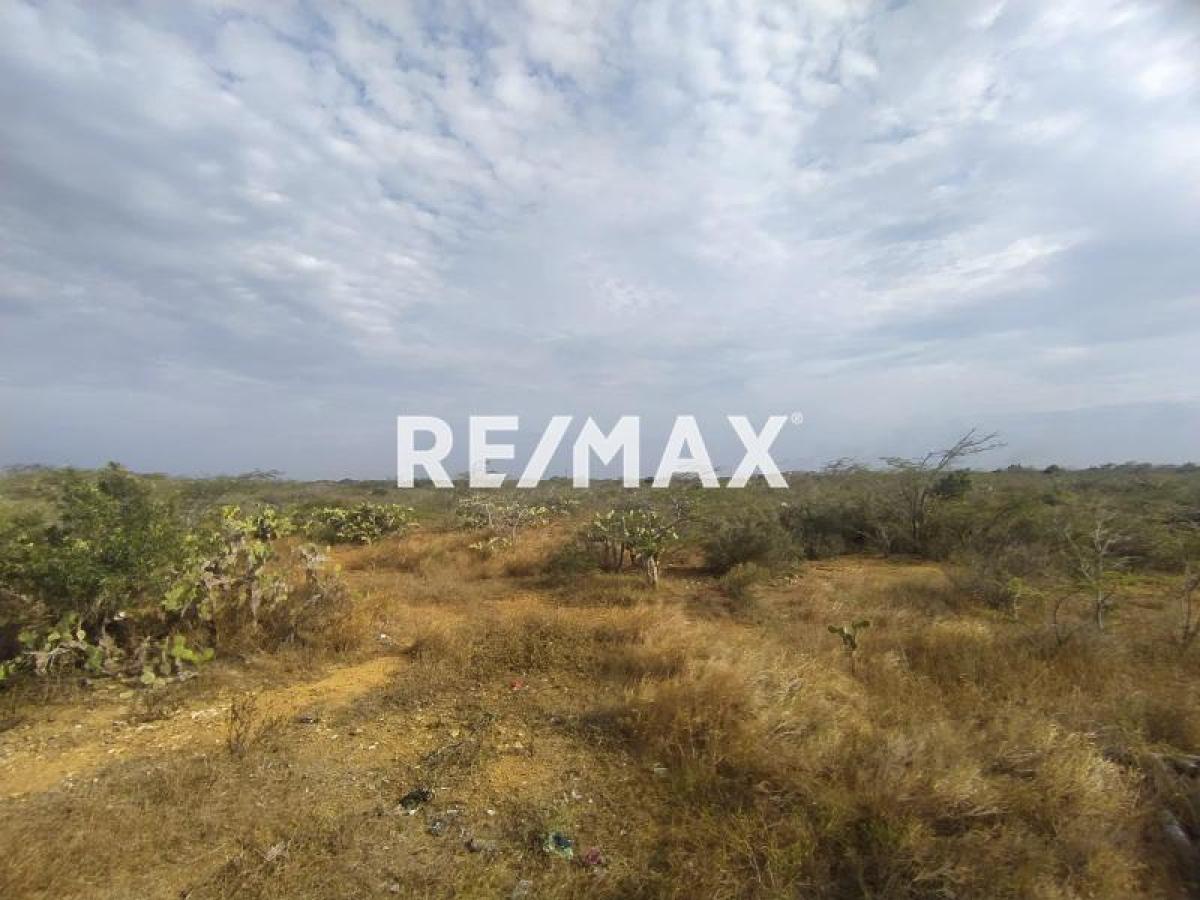 En Venta Terreno y Parcela Guanadito Sur, Los Taques, Falcón, 4147, VEN - Foto 6