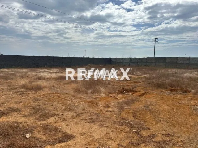 En Venta Local Industrial y Galpón Los Taques, Falcón, VEN - Foto 4